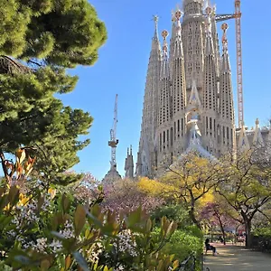 Barcelona4seasons - Sagrada Familia Barcellona
